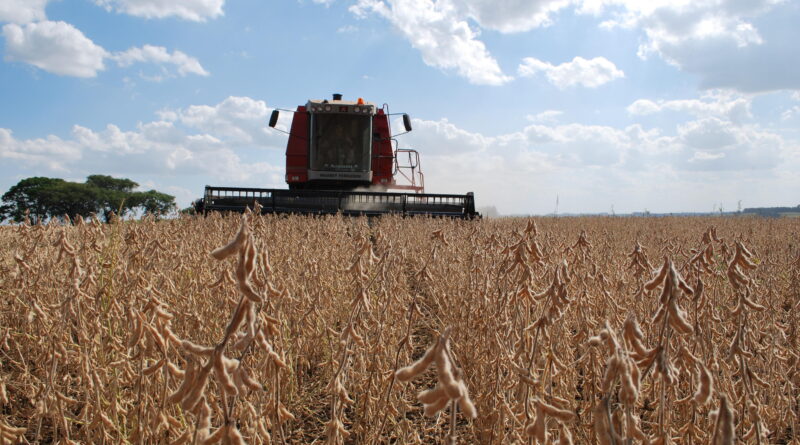 Governo Federal lança Plano Safra 24/25 com R$ 400,59 bilhões para agricultura empresarial
