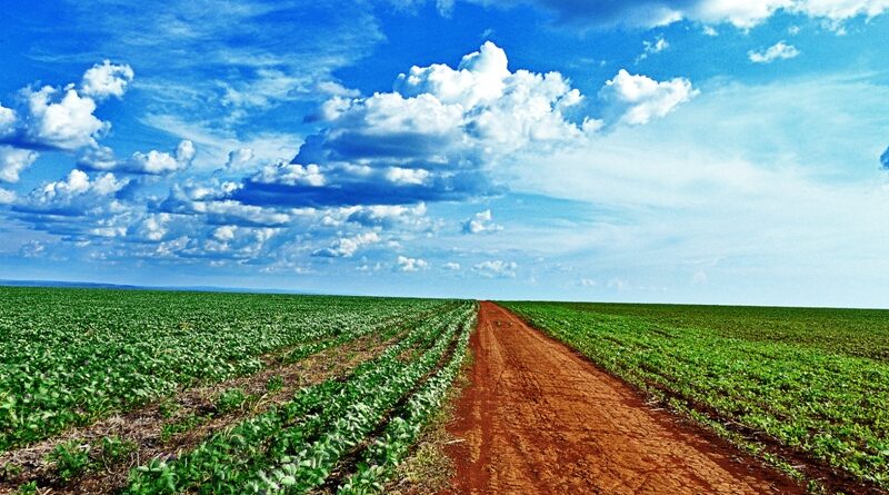 Reunião do GT de Agricultura do G20 destaca sustentabilidade na produção