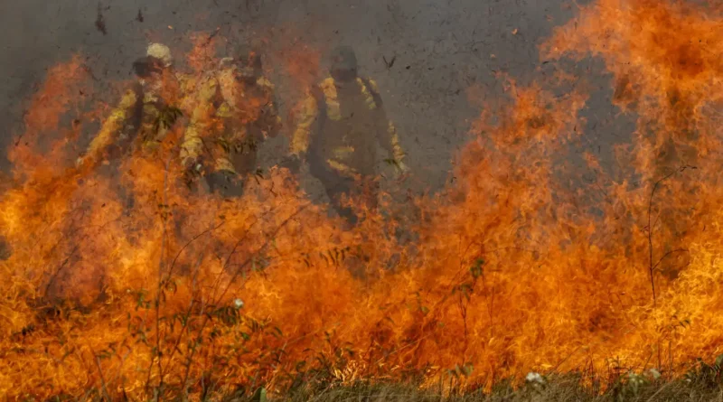 Faesp pede novas medidas ao governo para apoiar produtores rurais afetados por incêndios em SP