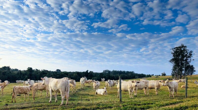 Caminhos para o futuro com sustentabilidade precisam ser alcançados com a máxima urgência