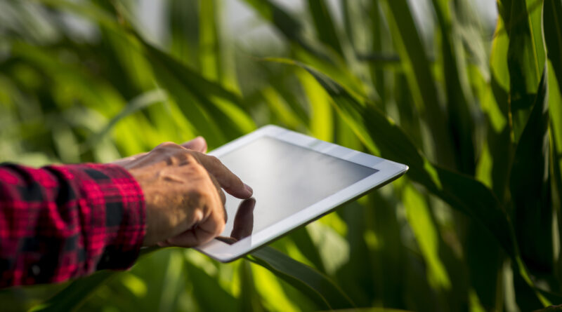 Senar Play oferece cursos online voltados para trabalhadores do setor rural