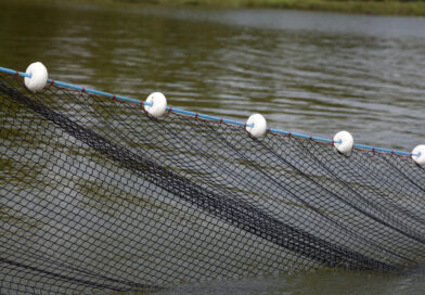 Emater Goiás promove Congresso de Aquicultura de Pesca em Inaciolândia e impulsiona setor pesqueiro